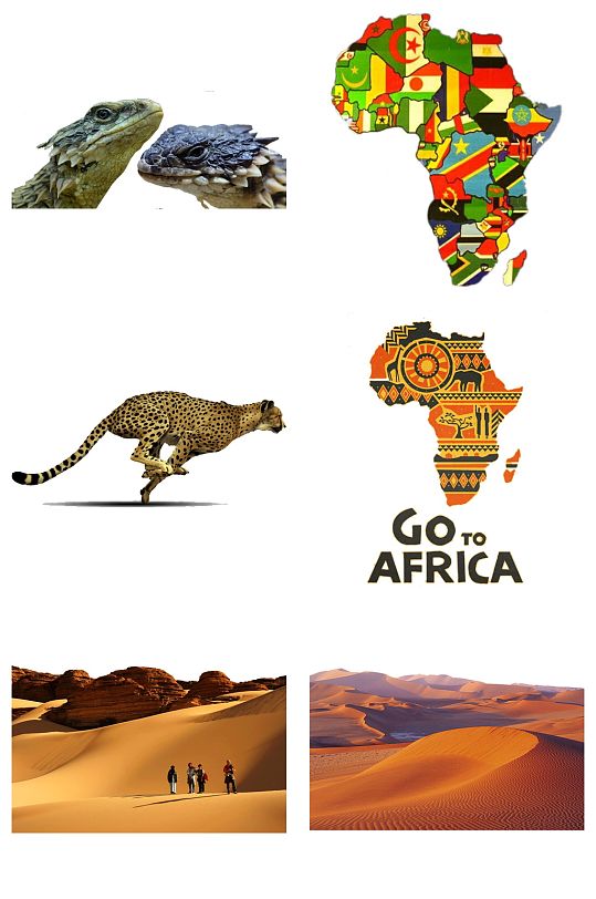 精品非洲旅行非洲豹免扣素材设计