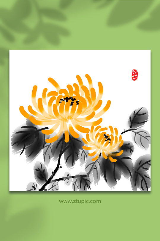 中国风水墨写意手绘菊花插画
