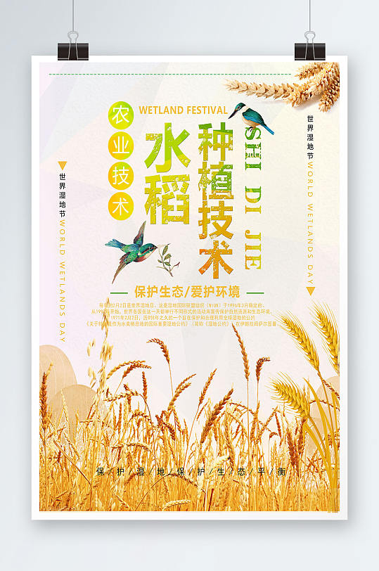 大气简约种植水稻农业科普海报