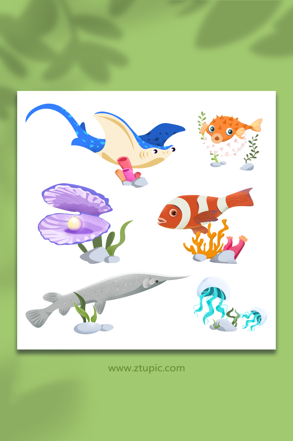 噪点肌理风格海洋海底动物生物元素插画素材