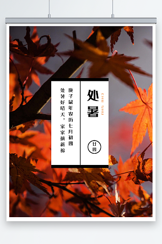 橙紫色枫叶处暑节气照片中文海报