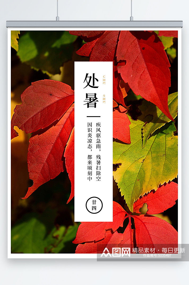 红绿色树叶枫叶处暑节气照片中文海报素材