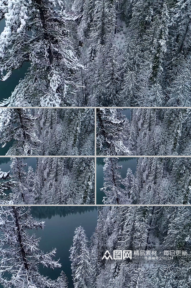 冬季雪白丛林实景拍摄素材