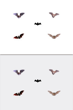 免扣素材蝙蝠动物元素