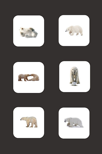 免扣素材北极熊动物元素