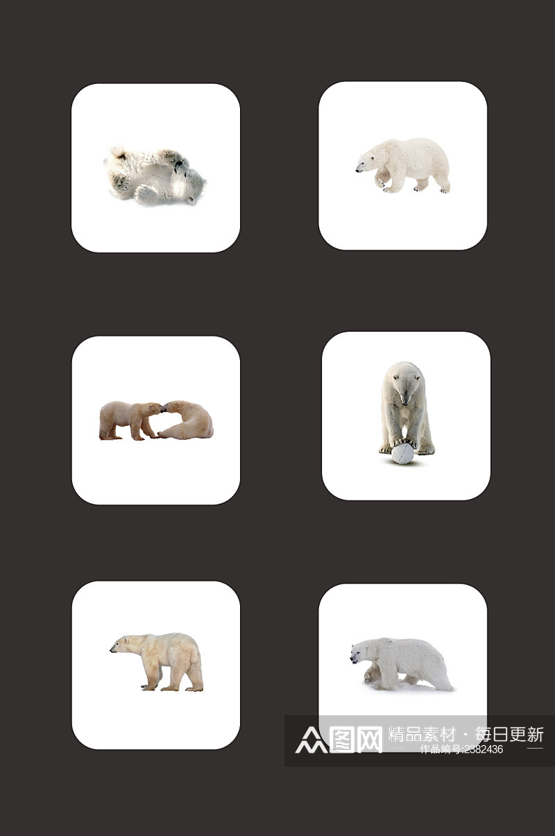免扣素材北极熊动物元素素材