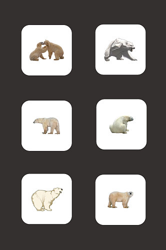 免扣素材北极熊动物元素
