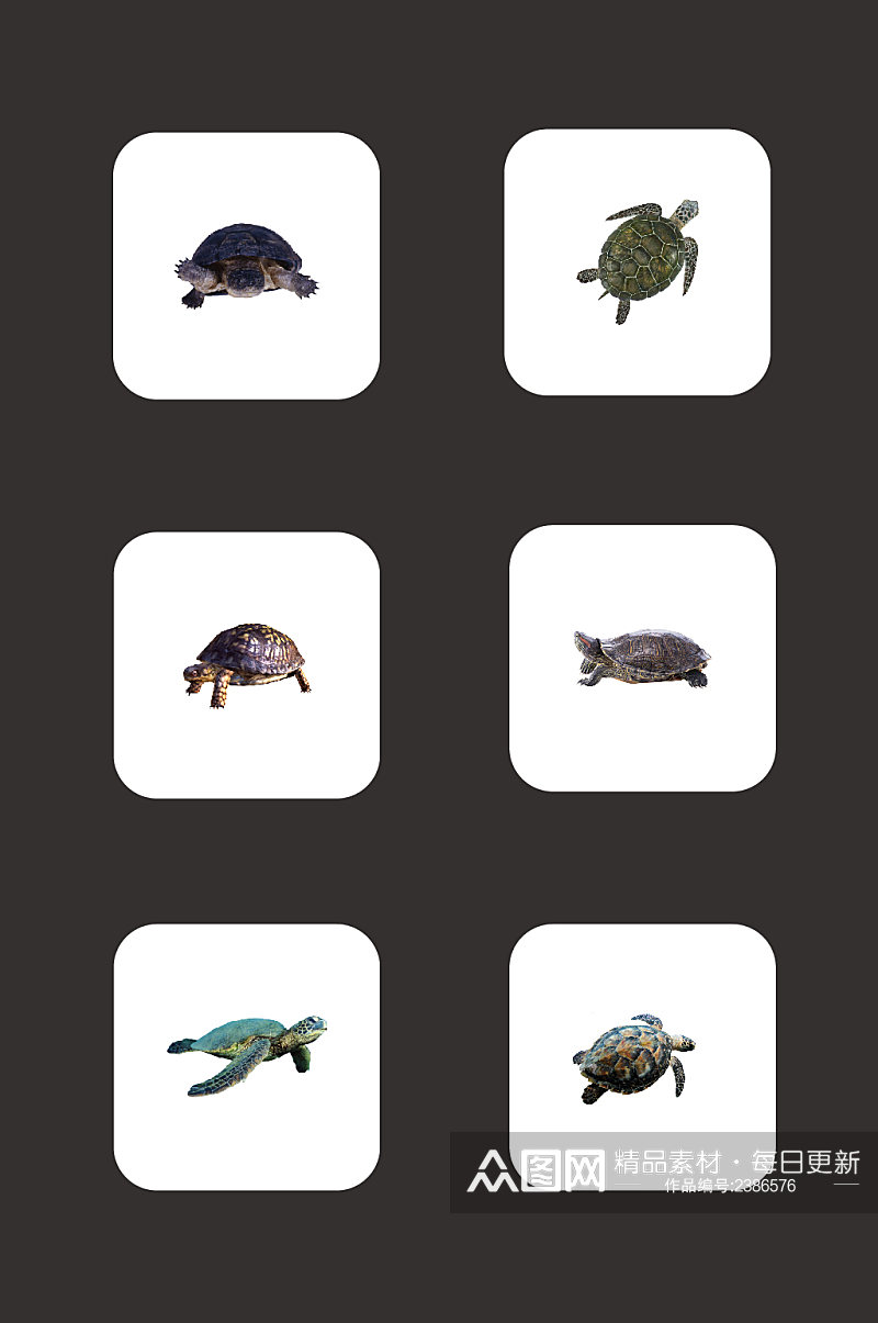 免扣素材海龟动物元素素材