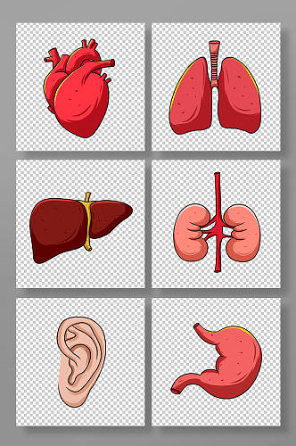 卡通手绘可爱医疗人体器官元素插画