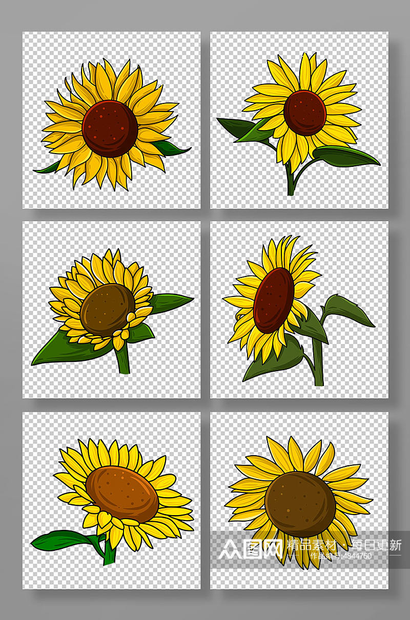 写实可爱向日葵花卉元素插画素材