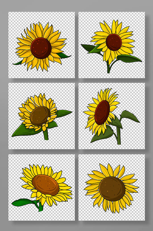 写实可爱向日葵花卉元素插画