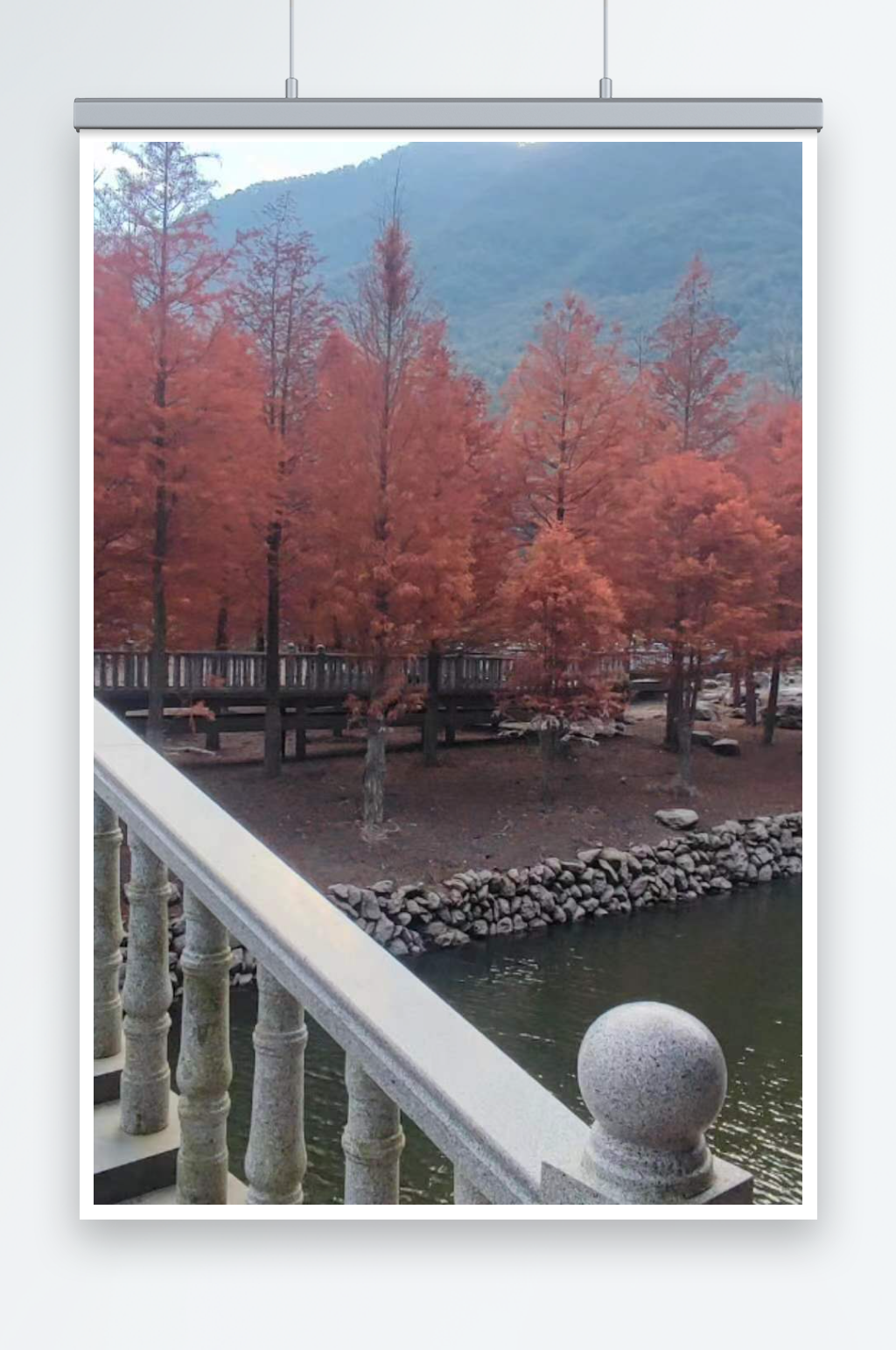 鹊桥孤立美景在桥边素材