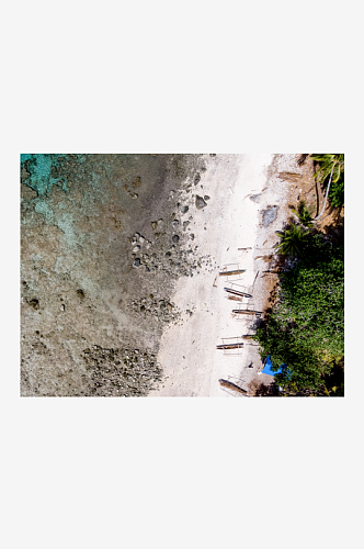 海洋生物珊瑚摄影图片