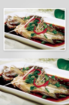 清蒸桂鱼摄影图片
