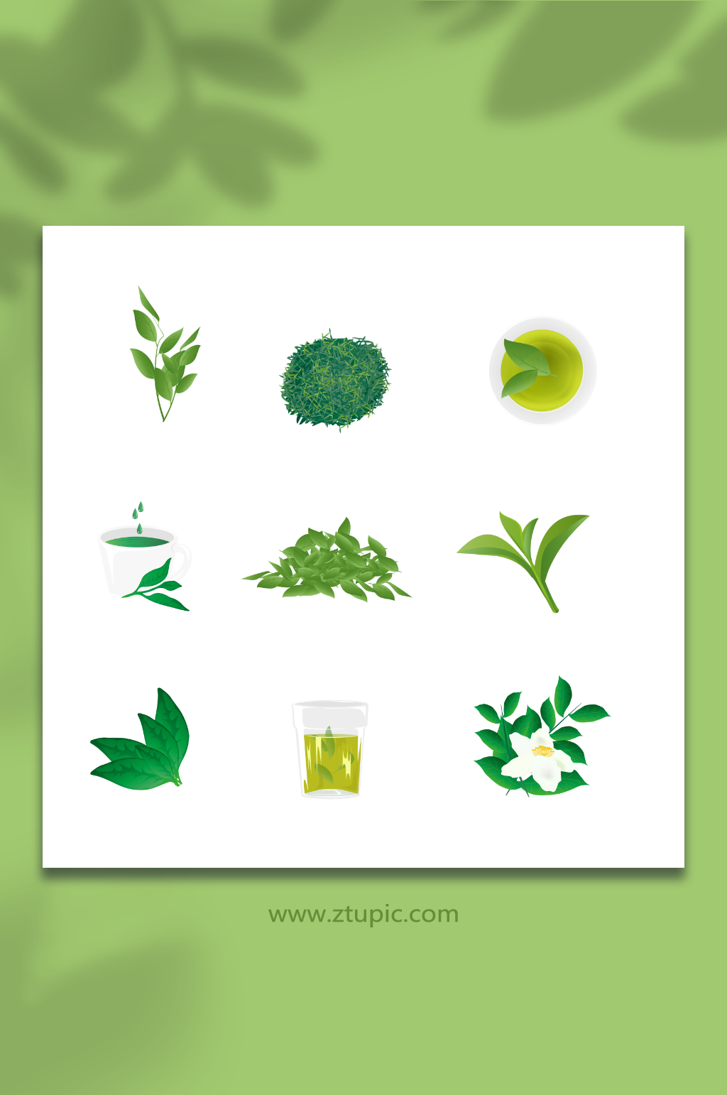 清新矢量绿茶茶叶插画元素素材