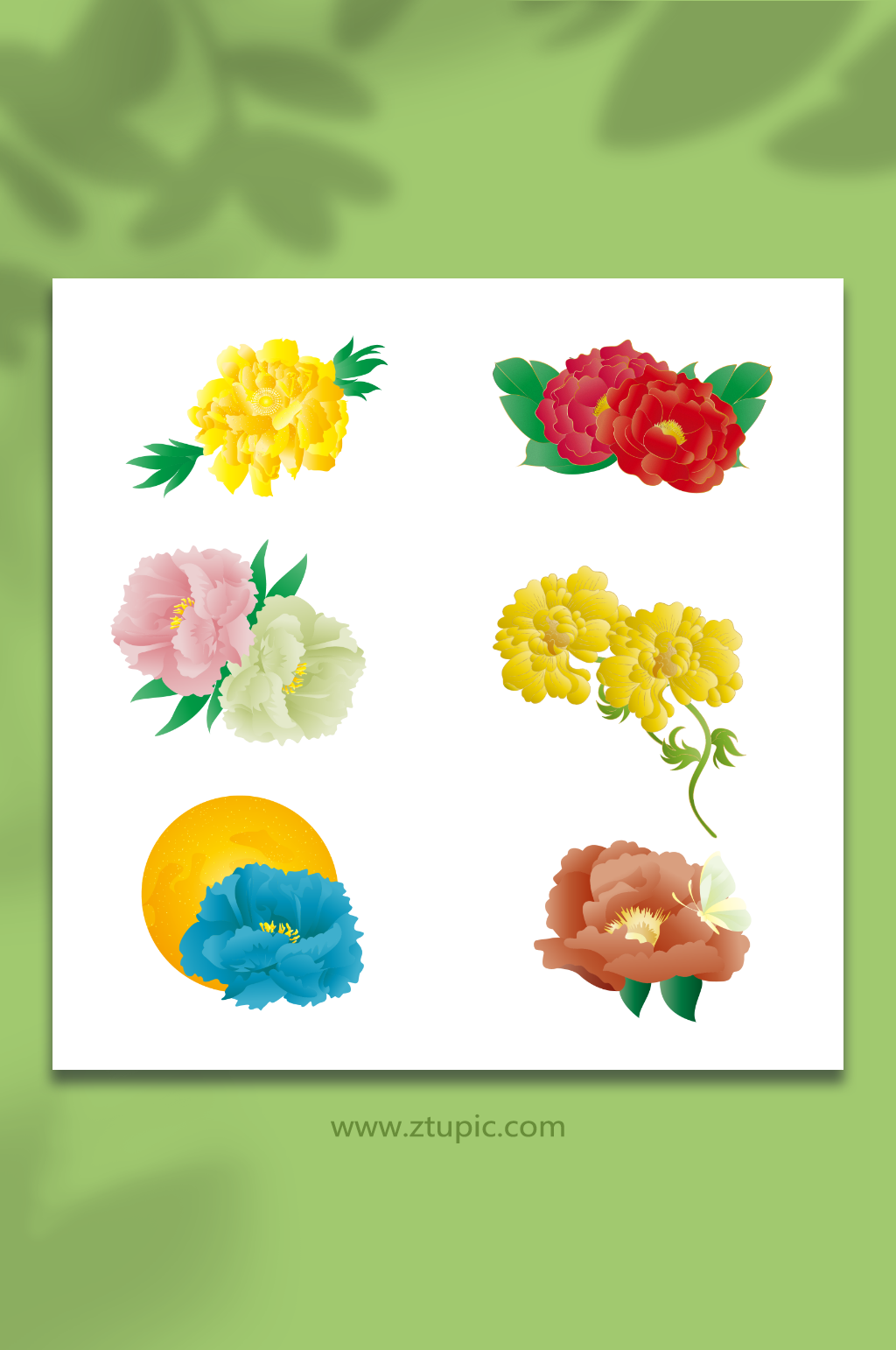 矢量手绘国潮牡丹花卉元素插画素材