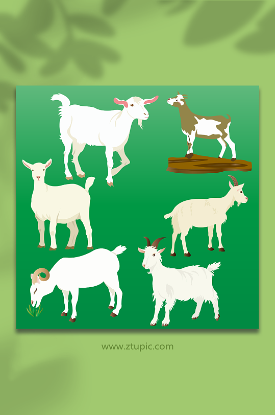 矢量绵羊山羊动物元素插画-众图网