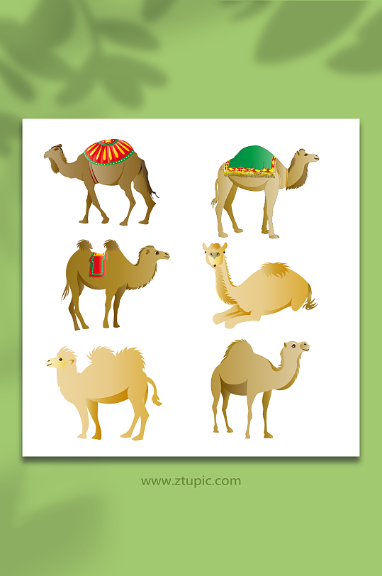 矢量沙漠骆驼动物元素插画