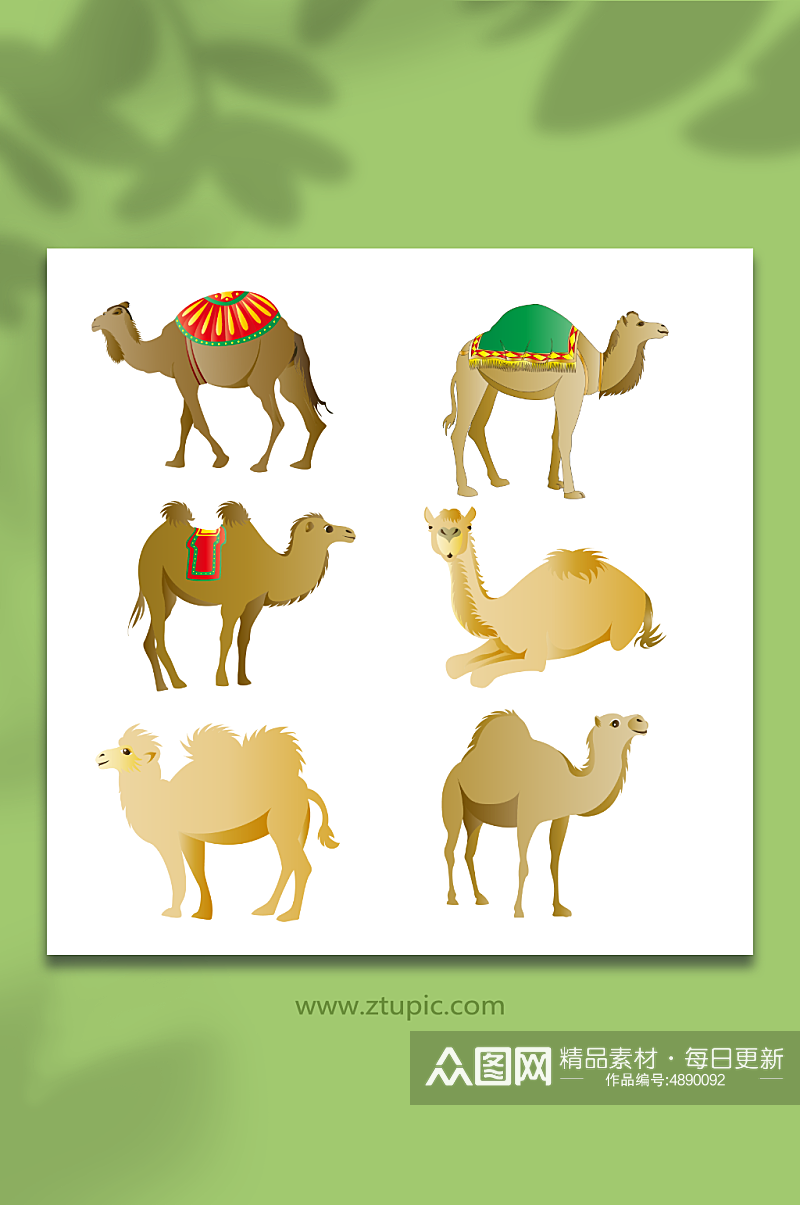 矢量沙漠骆驼动物元素插画素材