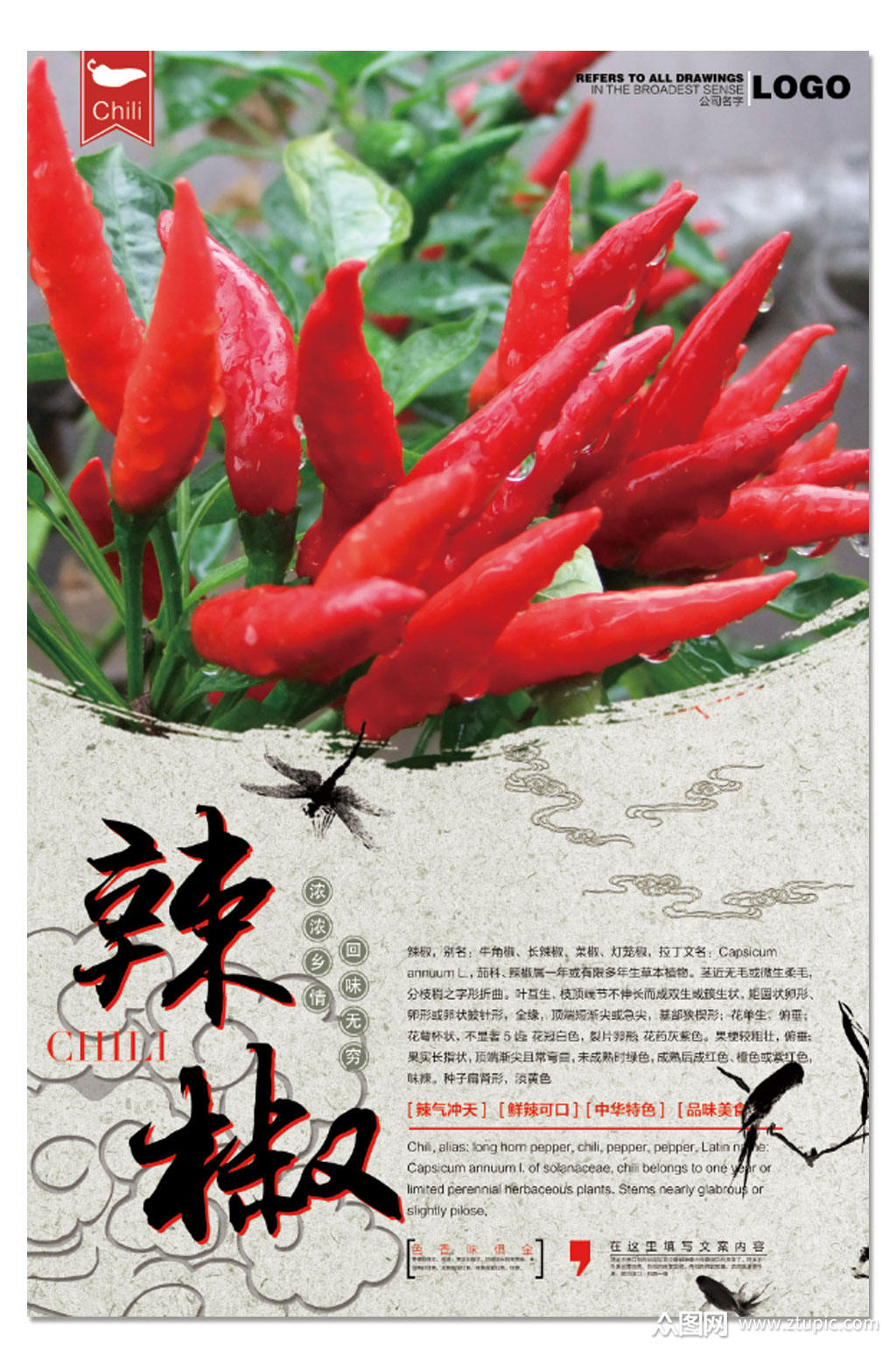 辣椒美食设计海报