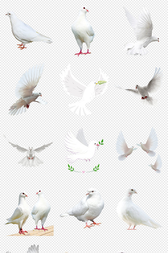 和平鸽白色鸽子飞翔的鸽子PNG免抠素材