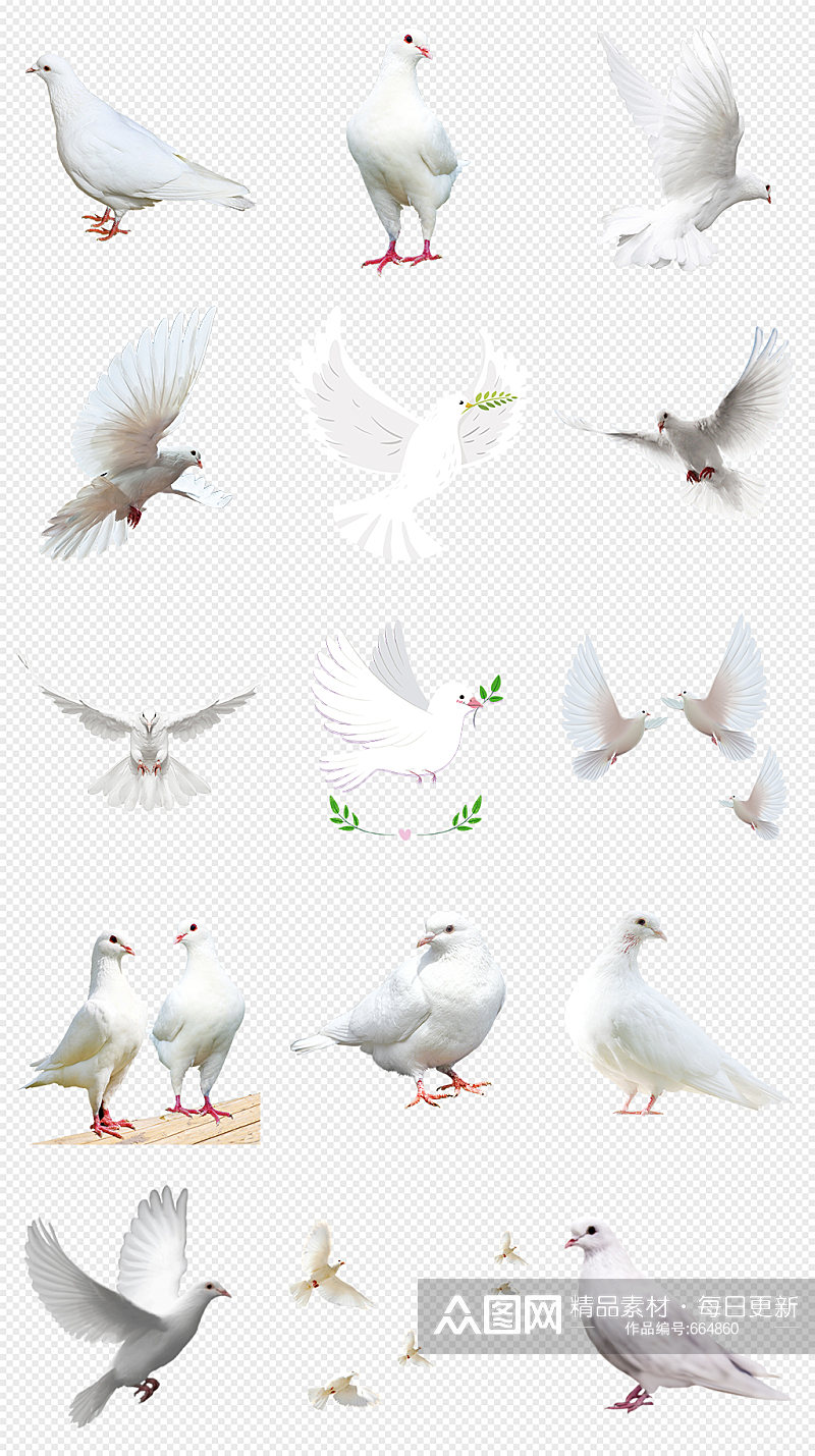 和平鸽白色鸽子飞翔的鸽子PNG免抠素材素材