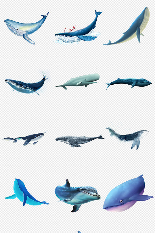 蓝色鲸鱼海洋生物PNG免抠素材