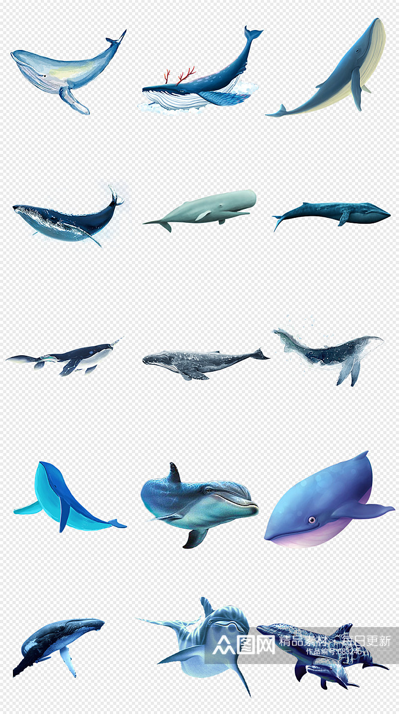 蓝色鲸鱼海洋生物PNG免抠素材素材
