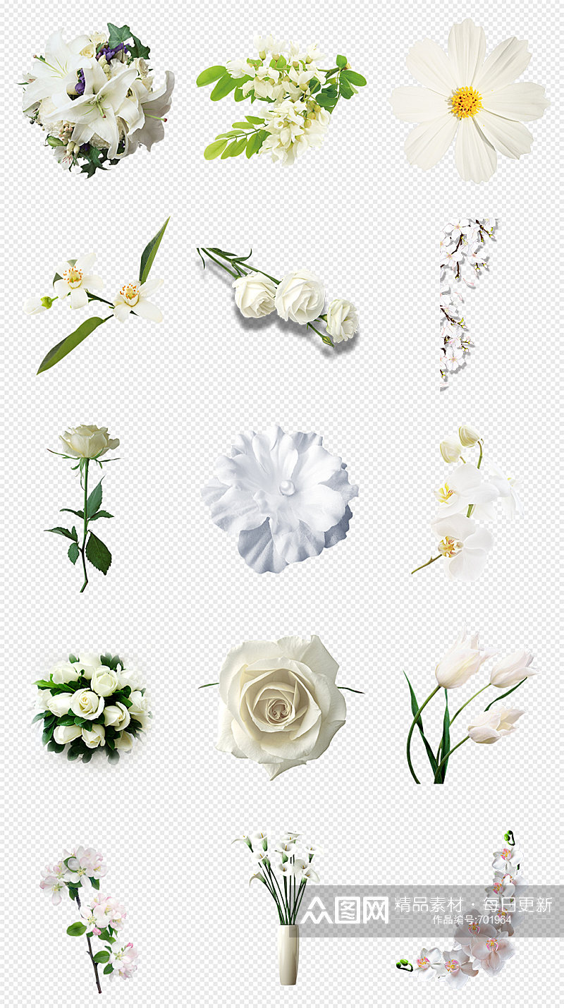 白色花花朵花卉PNG免抠素材素材