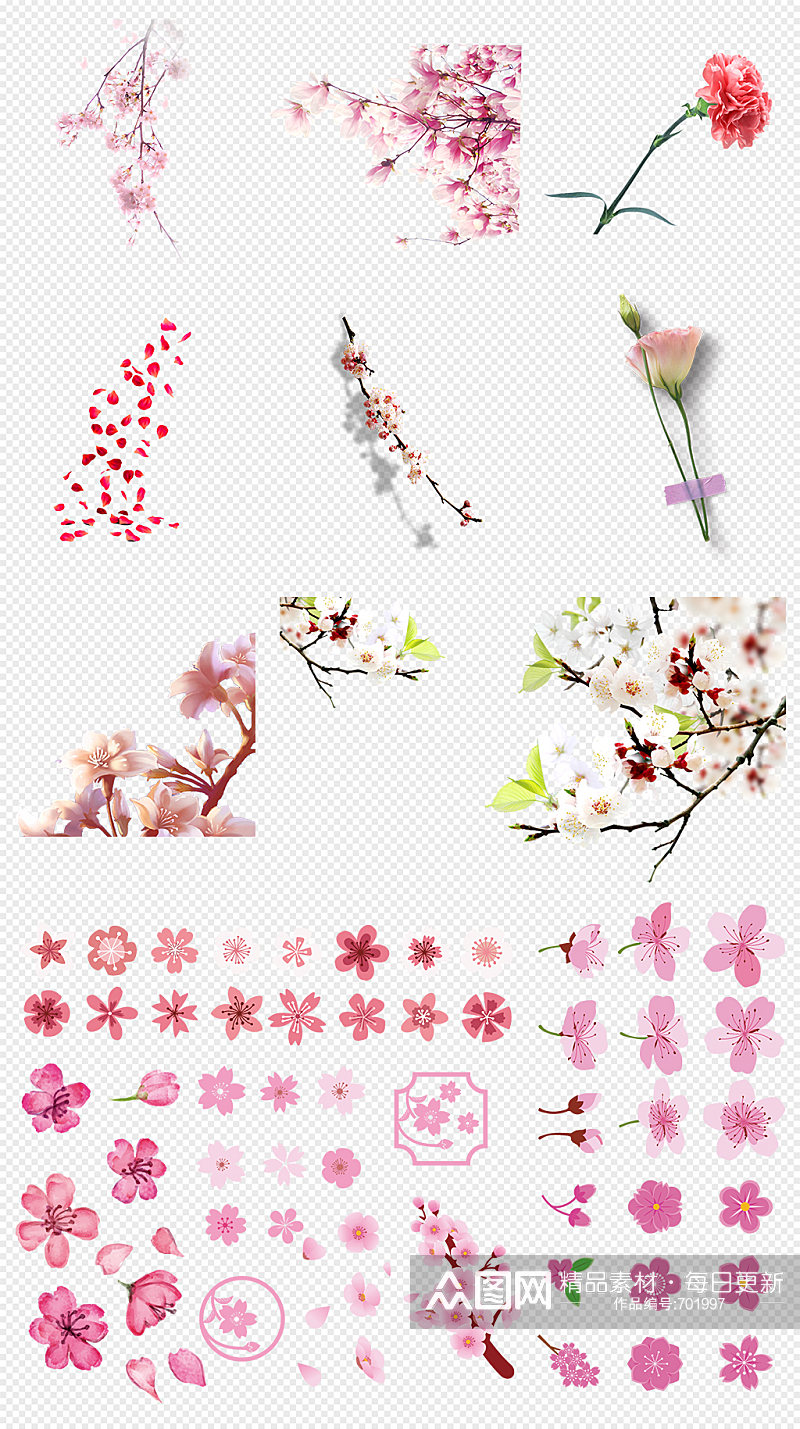 粉色花花朵花卉粉色花瓣PNG免抠素材素材