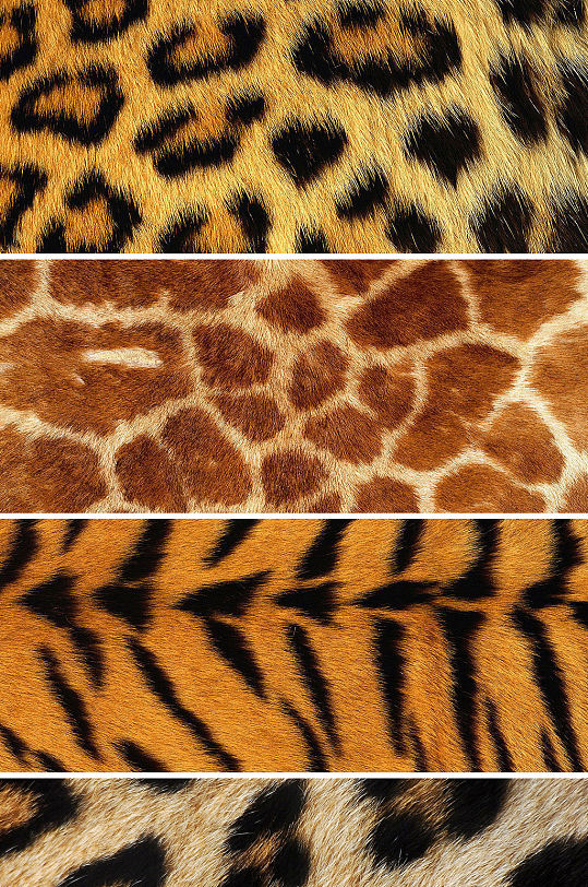 动物毛背景图片-动物毛背景设计素材-动物毛背景模板下载-众图网