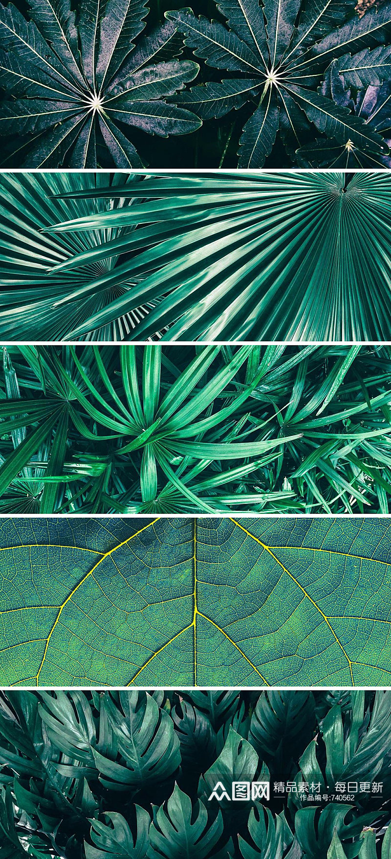 绿色植物清新叶子高清背景图素材