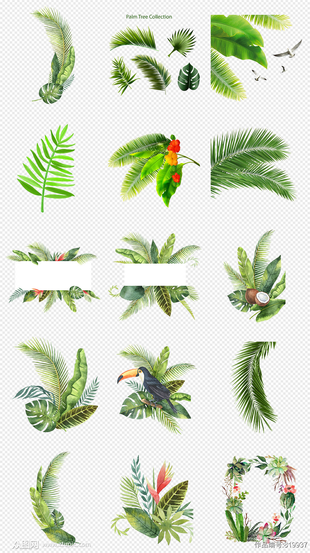 北欧风植物绿色植物热带植物png免抠素材模板下载 编号 众图网