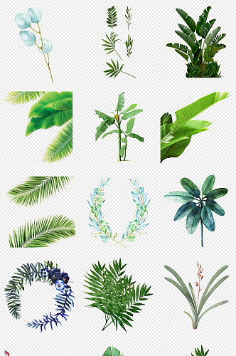 小清新植物绿色植物北欧风植物PNG素材