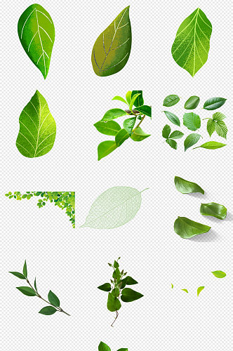 小清新绿色植物绿叶PNG免抠素材