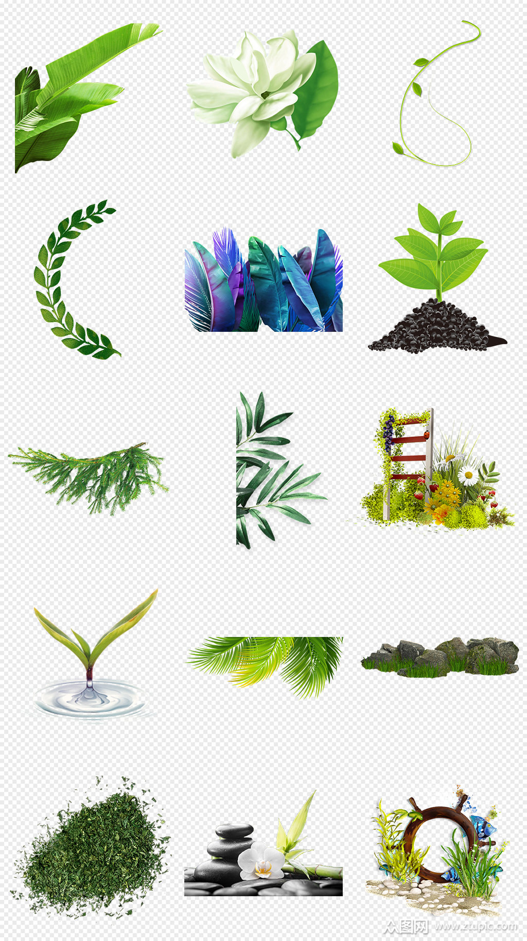 大自然绿色植物绿叶png免抠素材