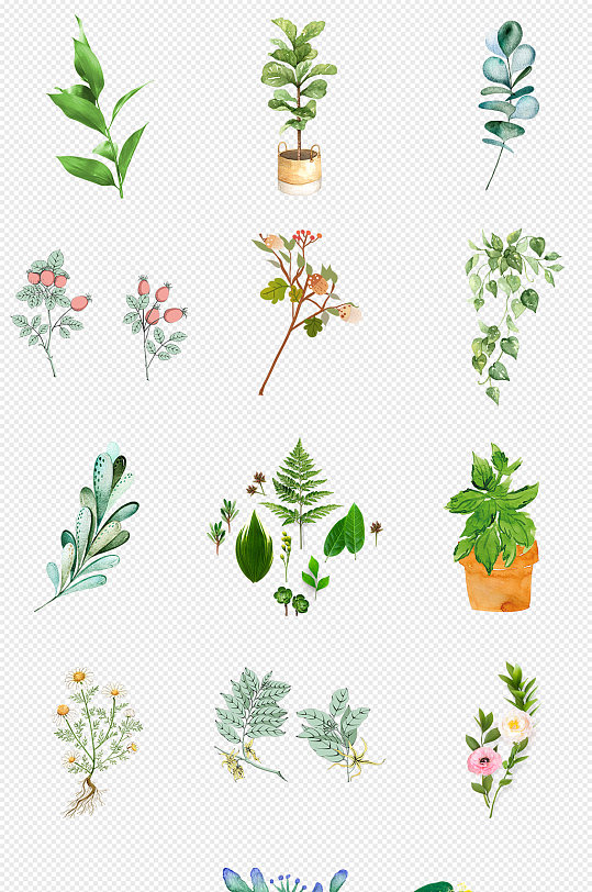 小清新森系植物花朵绿叶免抠素材