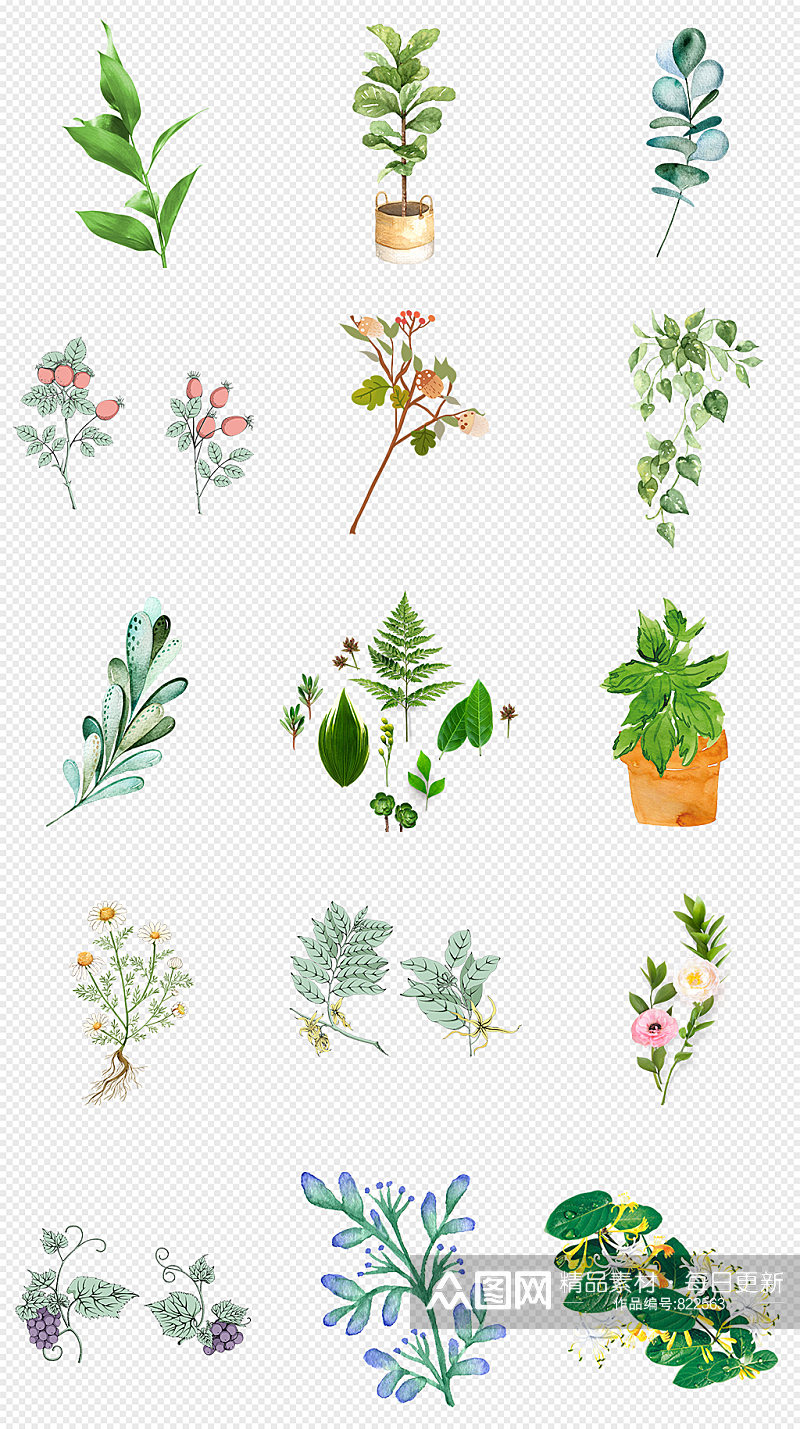 小清新森系植物花朵绿叶免抠素材素材