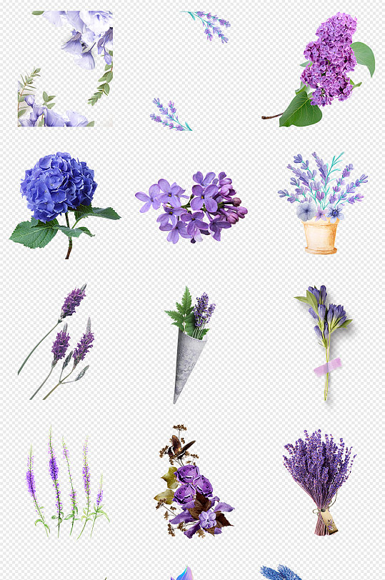 紫色花朵花卉薰衣草png免抠素材