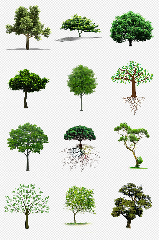 绿色大树植物春天景观PNG免抠素材