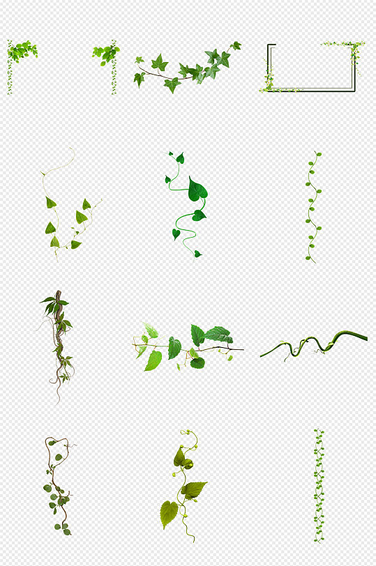 藤条藤蔓绿色植物png免抠素材