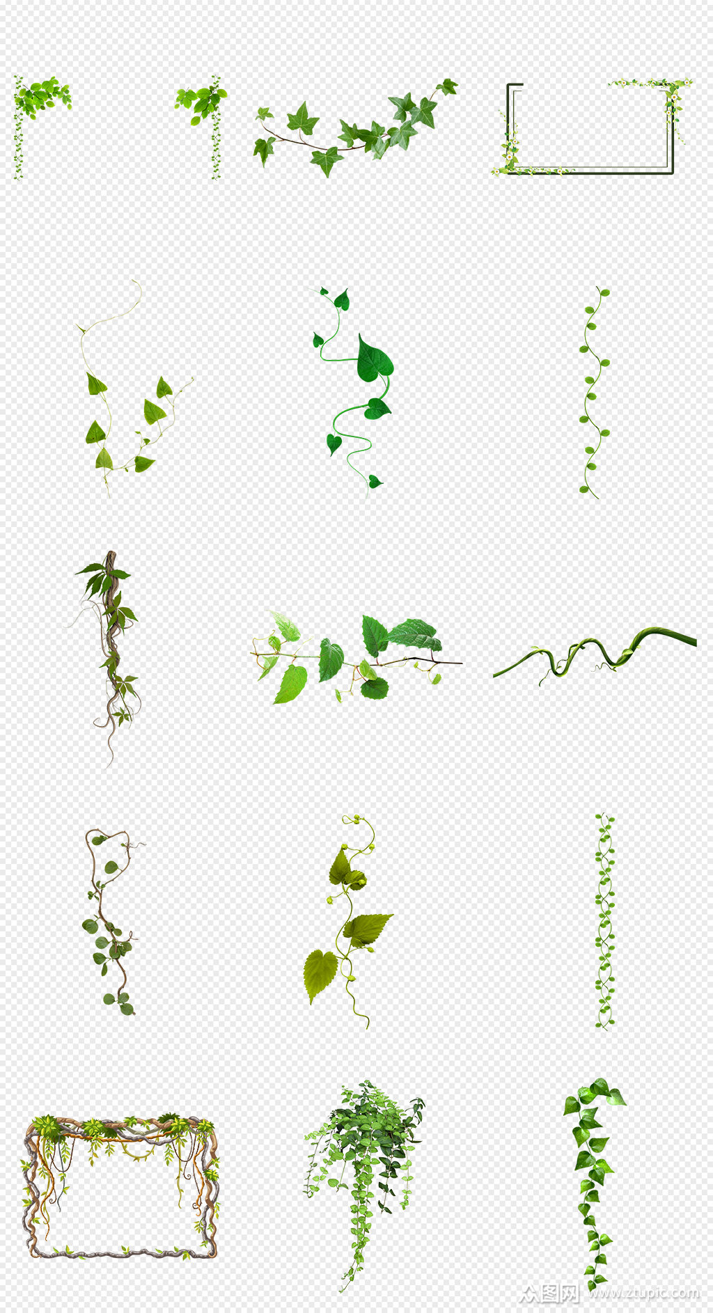 藤条藤蔓绿色植物png免抠素材