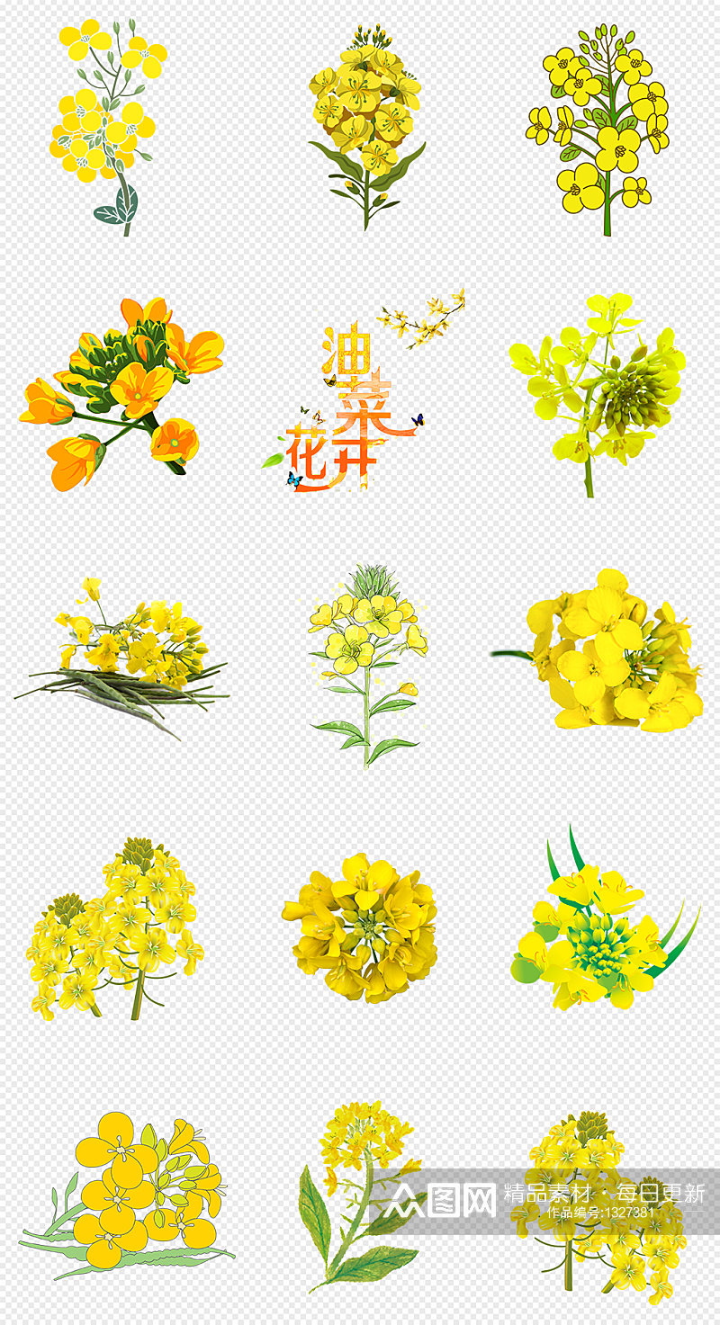 黄色油菜花PNG免抠素材素材