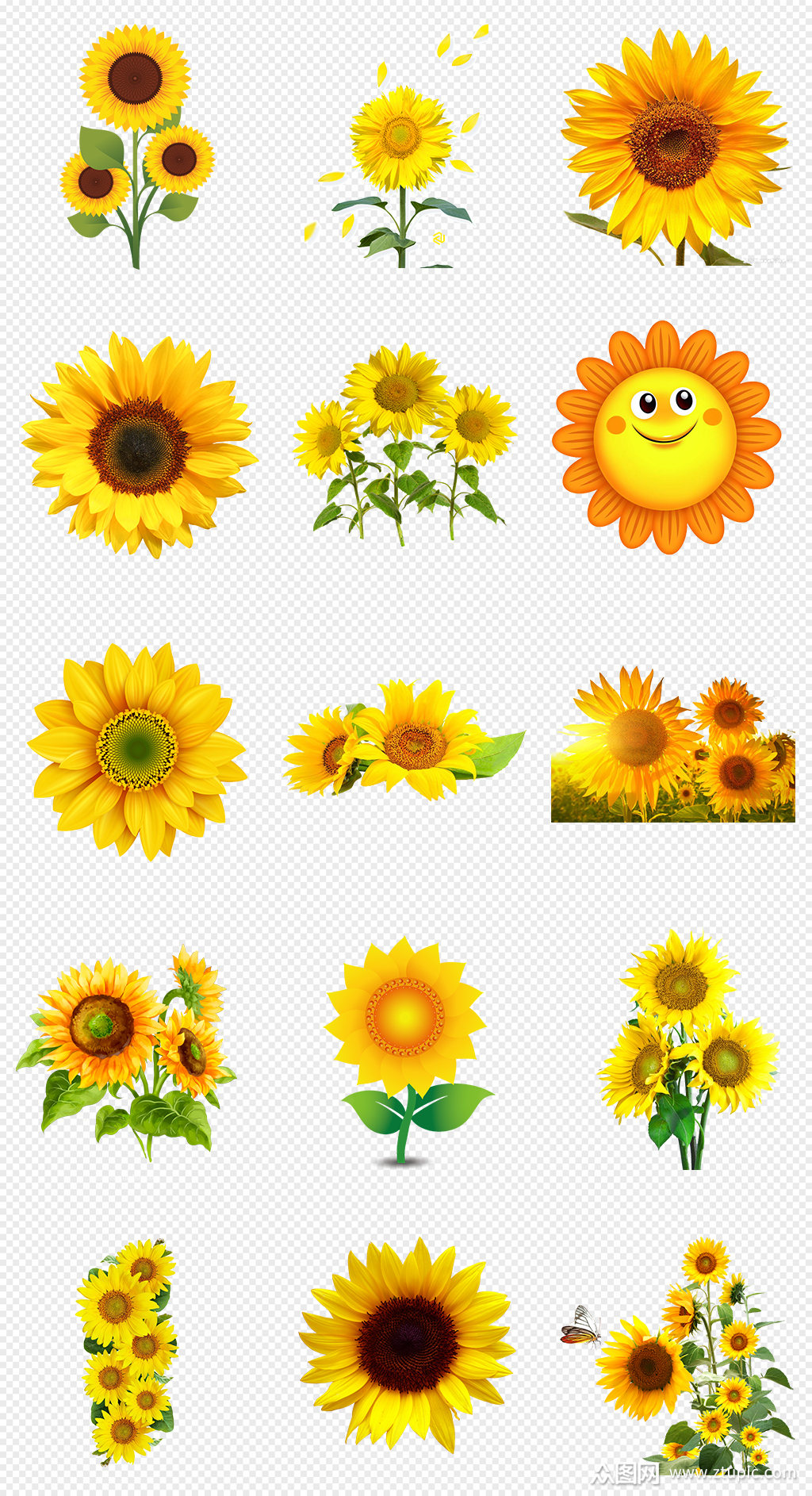 金色向日葵太阳花png免抠素材