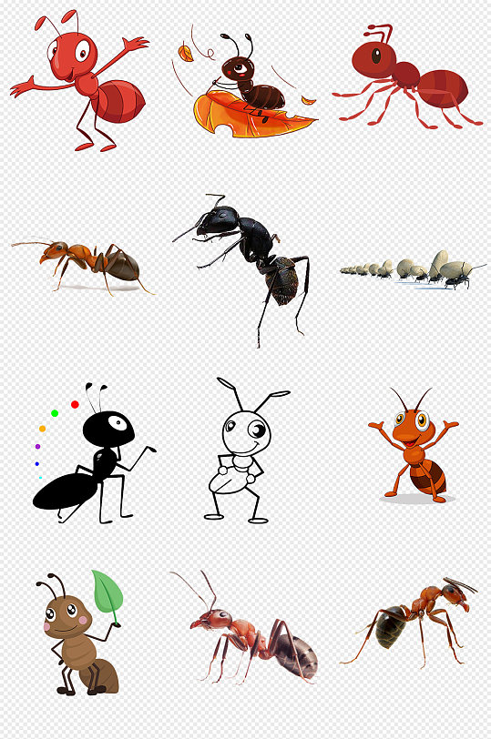 卡通手绘蚂蚁PNG免抠素材
