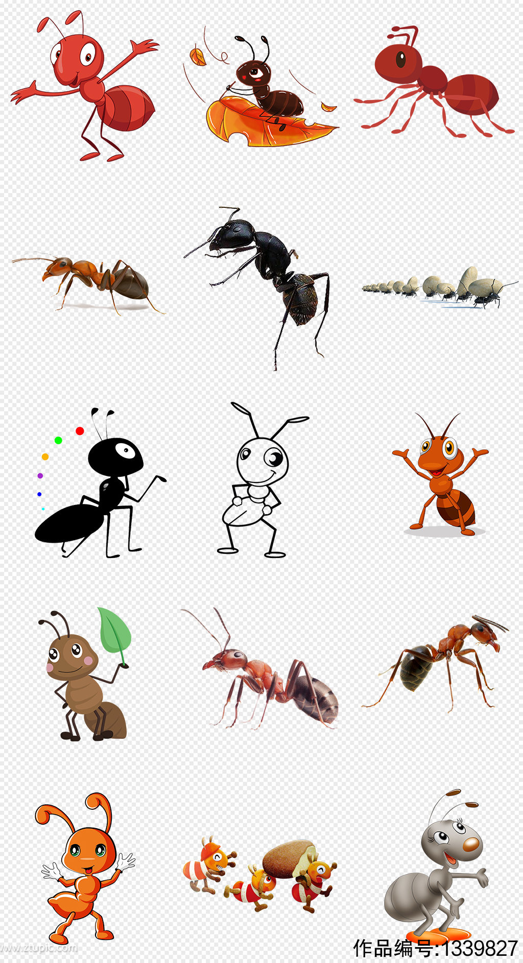 蚂蚁动画图,蚂蚁动画图片_大山谷图库