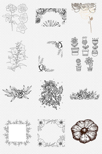 手绘素描线稿植物花卉花朵PNG免抠素材