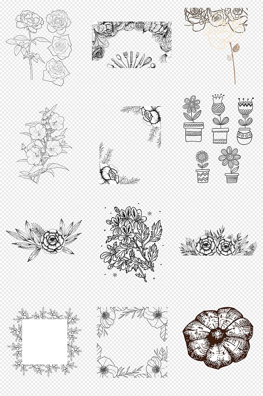 手绘素描线稿植物花卉花朵PNG免抠素材