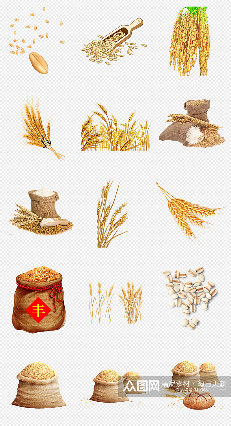 稻谷水稻稻穗麦穗PNG免抠素材素材