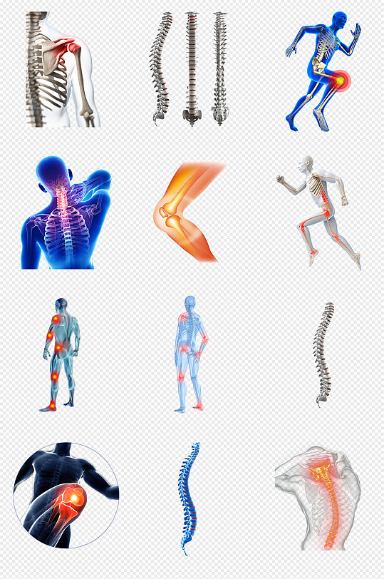 骨骼人体关节骨头肌肉PNG免抠素材